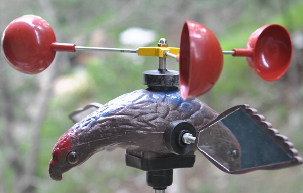 小鳥愛吃櫻桃、桑葚……趕鳥神器看這里~~~