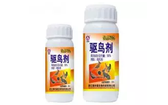 小鳥愛吃櫻桃、桑葚……趕鳥神器看這里~~~