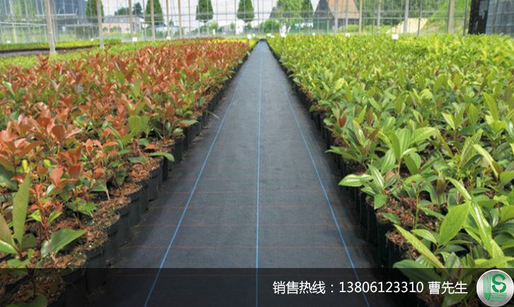苗床基層保護園藝地布