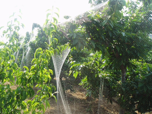 江蘇綠盛園藝用品有限公司