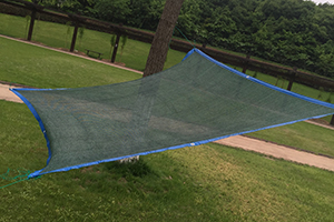 墨綠色多肉遮陽(yáng)網(wǎng)遮陰網(wǎng)