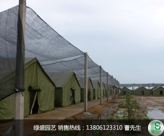 大棚遮陽(yáng)網(wǎng)